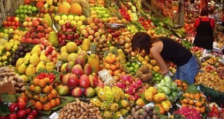 Нова кампания на ЕК за предоставяне на плодове в училищата