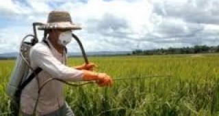 Селскостопанските работници са изложени на 27% по-малък риск да заболеят от рак