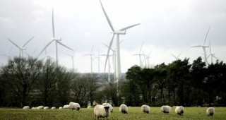 Цената на тока от вятърни централи ще падне след 12 г.