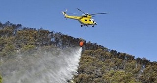Евакуираха 1200 души от остров Ибиса заради горски пожари