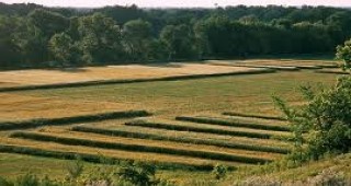 Голям брой земеделски производители в ЕС прилагат по-устойчиви агроекологични практики