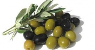Фестивал на маслината събра почитателите й в Кипър