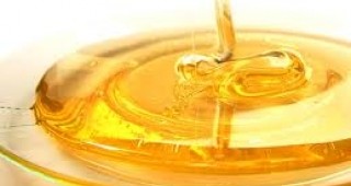 Германски бизнесмени и български пчелари ще направят съвместно първата в страната борса за мед