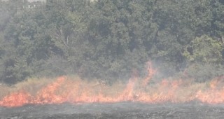 РСПБЗН - Кюстендил призова всички ловци да спазват правилата за пожарна безопасност