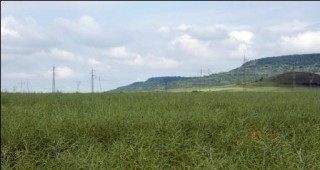 През 2012 година в България се очаква да бъдат изтъргувани над 1 000 000 декара земеделска земя