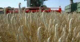 Високите цени на продукцията са направили европейските фермери по-независими от земеделските субсидии