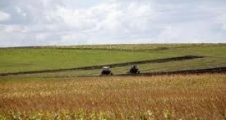 Над 3,5 млн. хектара земеделска земя ще бъдат подпомогнати по схемата за директно плащане