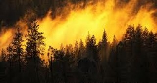 Пожар обхвана землището на село Костадинкино