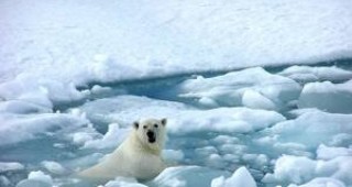 До 2100 г. Арктика може да остане без лед