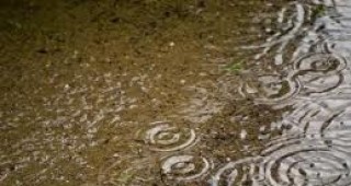 Значителни количества дъжд са паднали в Ямболска област през последното денонощие