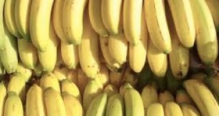 ЕК наложи наказание за картелно споразумение при търговията с банани