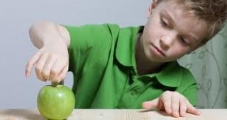 Обучават персонала на детските заведения в Плевенска област да прилага новите изисквания за здравословно хранене