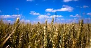 Климатичните промени могат да доведат до рязък спад на земеделската продукция у нас