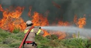 Експерти от България и Косово обменят опит в превенцията и борбата с горските пожари