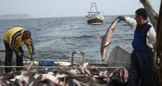 Предвиждат се стандарти за добро управление на рибарството в ЕС