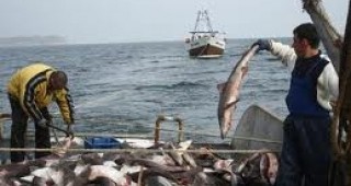 Предвиждат се стандарти за добро управление на рибарството в ЕС
