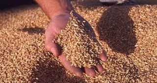 Националната асоциация на зърнопроизводителите обявява безсрочни протестни действия