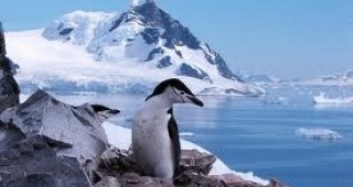 Наши изследователи ще проучват влиянието на климатичните промени върху обитателите на Антарктида