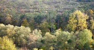 Проект за устойчиво управление на горите стартира на 4 ноември