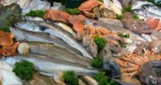 Екзотичната риба Барамунди може да измести шарана за Никулден