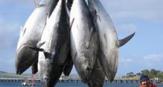 ЕК проверява Италия за незаконен риболов в южната част на Средиземно море