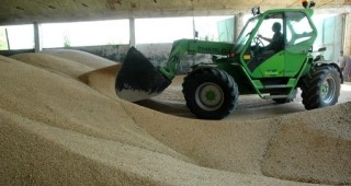 Търговци на зърно в Североизточна България имат задължения към бюджета в размер на 39 млн. лева