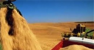 Украинският президент Виктор Янукович прогнозира добив от 55 млн. тона зърнени култури за 2011 г.