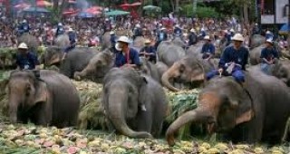 Фестивал на слона се провежда в Тайланд