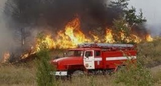 220 декара борова гора и треви изгоряха при пожар над село Горно Дряново