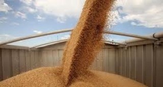 През миналата седмица на ССБ бяха сключени сделки с неголеми количества фуражно зърно