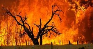 Горски пожари по западното крайбрежие на Австралия