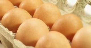 Яйцата се търгуват средно по 0,27 лева за брой на едро