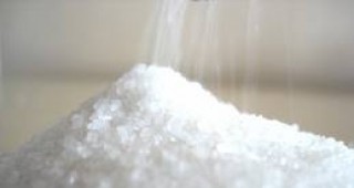 Средната цена на едро на захарта остава на нивото от предходната седмица - 2,25 лв./кг