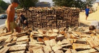 Искат отмяна на забраната за износ на дървесина извън ЕС