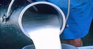 В Разплащателната агенция са подадени 643 заявления за продажба на млечни квоти