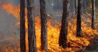 Пожар на площ 10 000 декара гори на територията на Софийска и Пазарджишка област