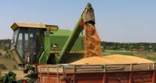 Инспектори на НАП започват масови проверки на търговците на зърно