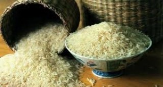 Френска лаборатория успя да произведе ориз с лактобацилус