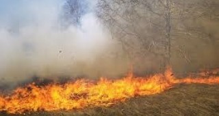 Пожар гори в пограничната зона между България и Гърция