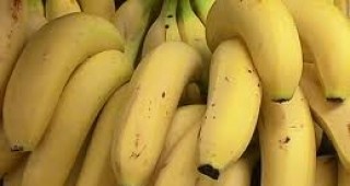 Слухове за разяждащи плътта банани разбуниха духовете в Мозамбик