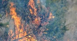 В община Якоруда пламна голям горски пожар