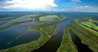 Намаляло е обезлесяването в Амазония