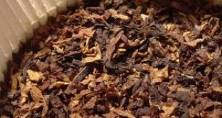В Силистренско се изкупува единствено тютюн от сорта Кабакулак
