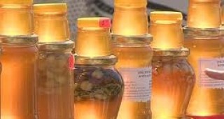 Във Видин ще се състои международно изложение на пчелни продукти