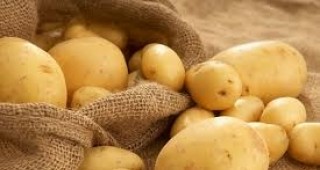 БАБХ засилва контрола срещу заболяването рак по картофите