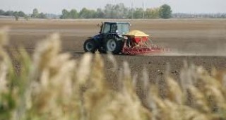 Фермерите от Северозападна България допускат зърнена криза