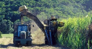 Куба обяви намеренията си да започне производство на ток от захарна тръстика