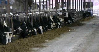 Брюксел удължи с 2 г. срока за привеждане на фермите към хигиенните изисквания