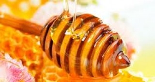 Медът помага на тялото да се освободи от токсичния ефект на препиването