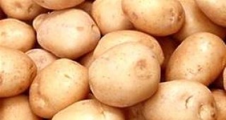 Картофите от векове са в основата на културата и живота в Южна Америка